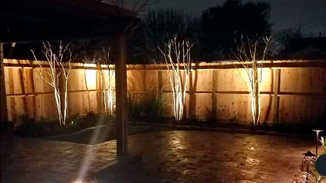 Illuminated trees in courtyard landscaping