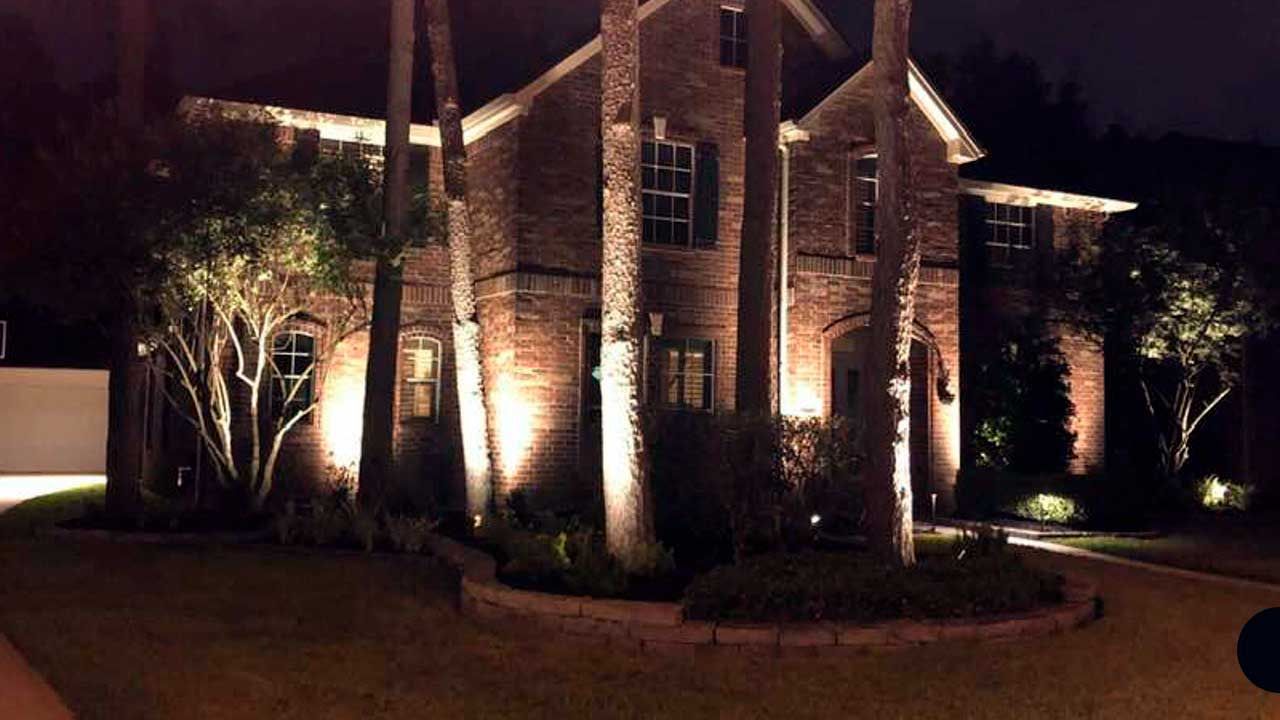 Landscaping with illuminated trees for appeal