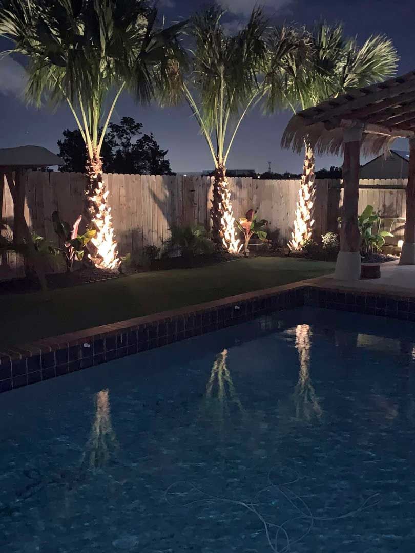 Palm trees with lighting for the swimming pool area