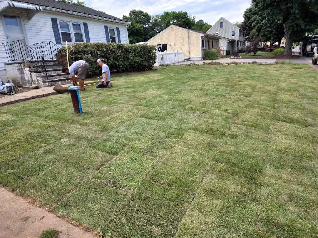 Residential backyard with new Sod installation