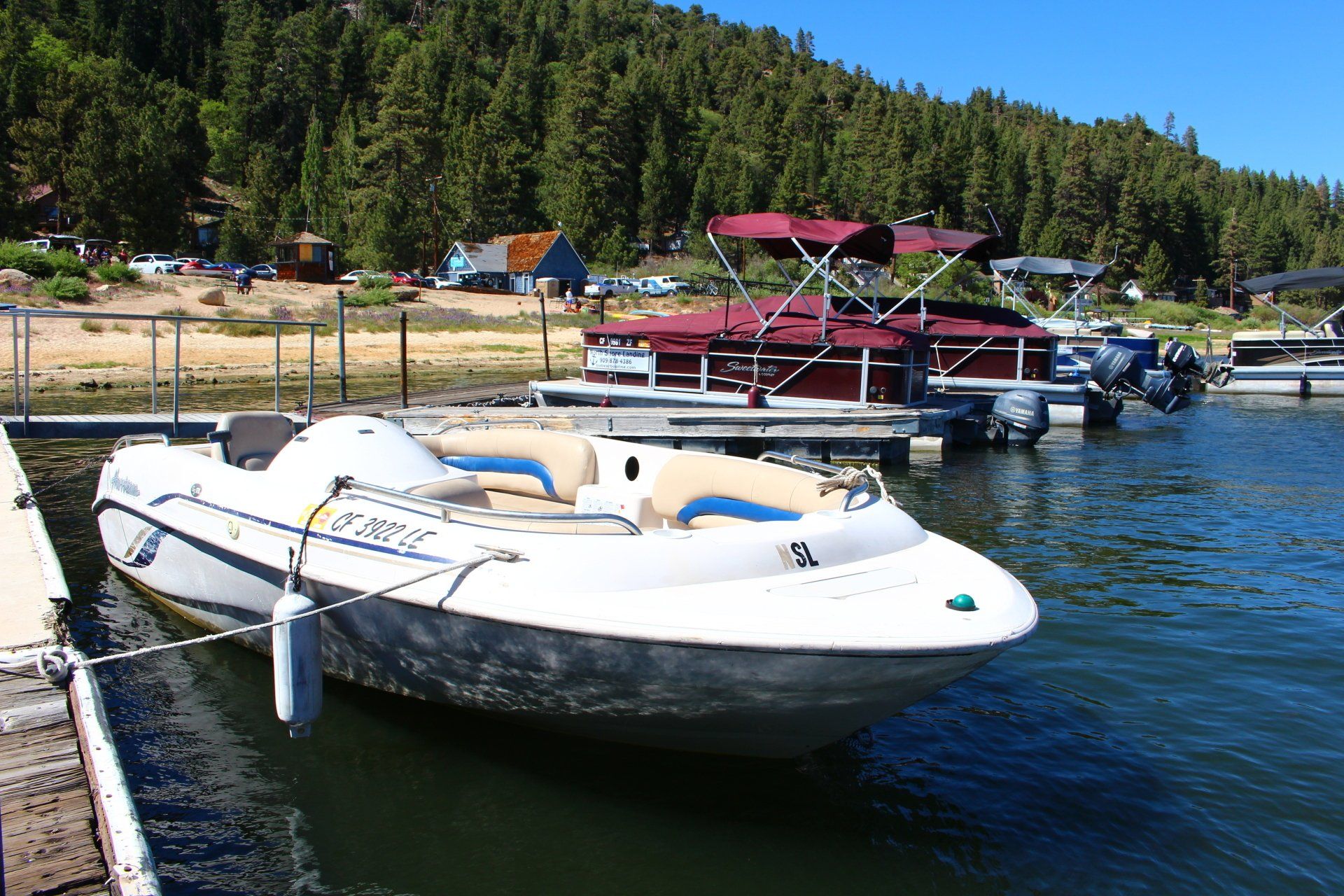 White boat rental in Big Bear Lake with tan seats