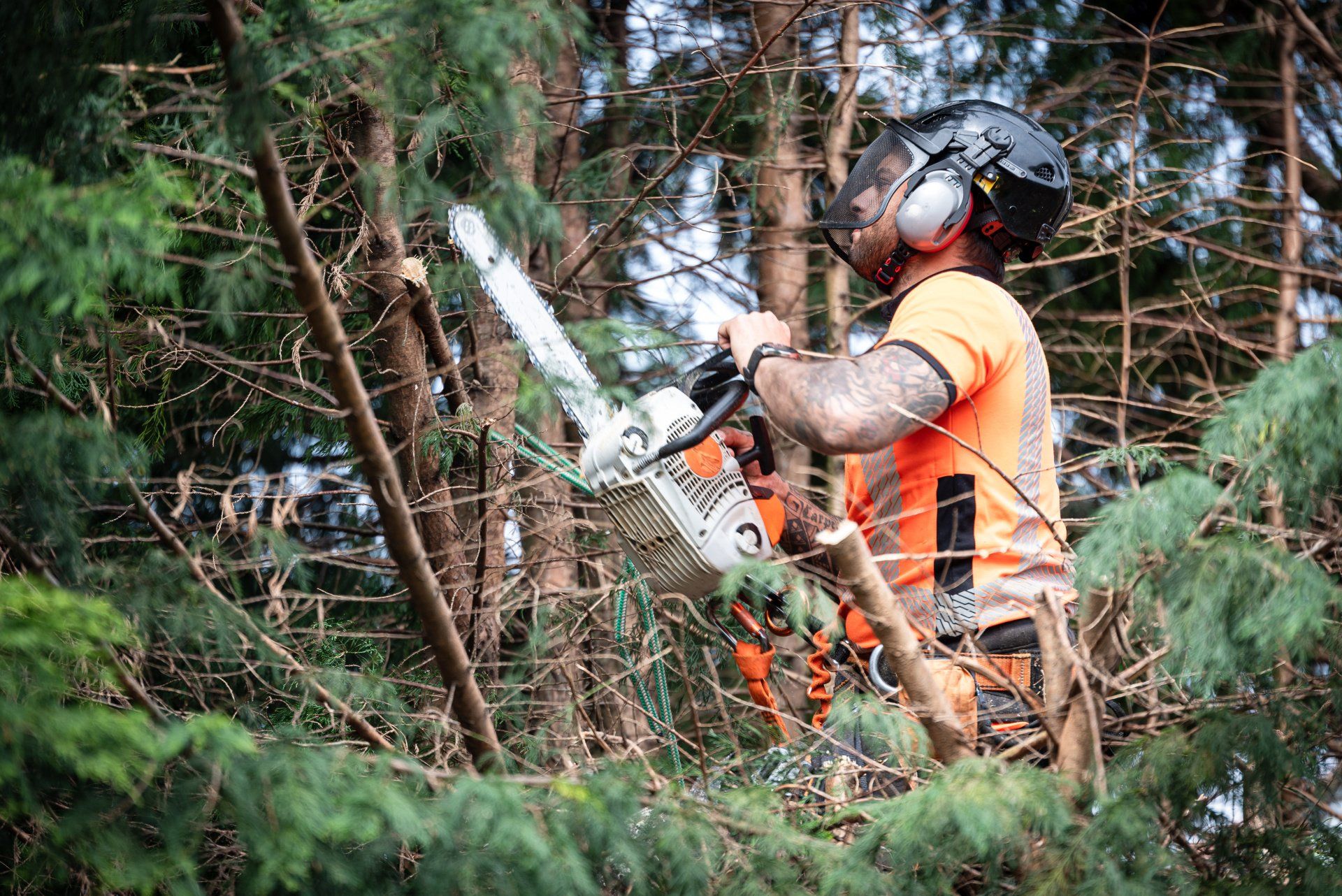 Image of man looking up at tree with chainsaw