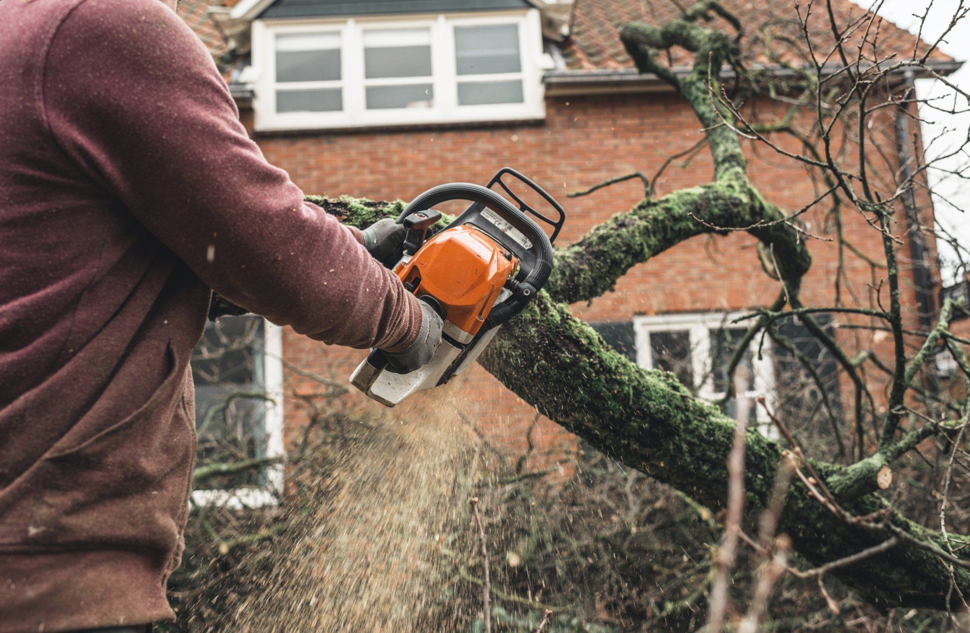 Image of man cutting down tree