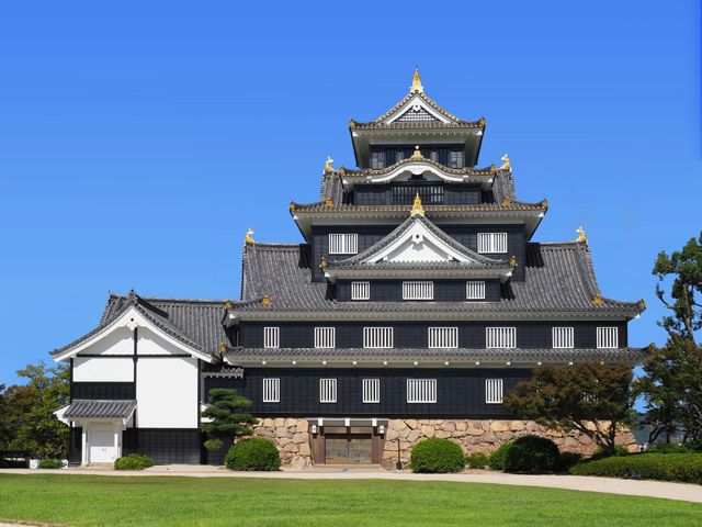 【中古】 神の鳥/幻冬舎ルネッサンス/岡山嘉彦 岡山城