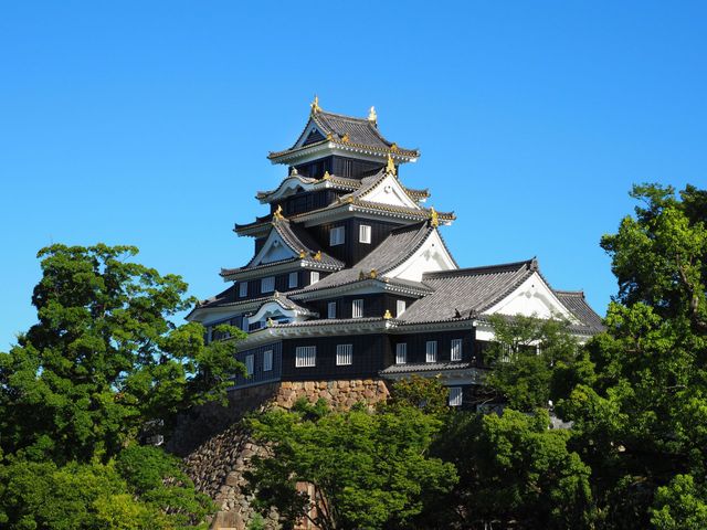 【中古】 神の鳥/幻冬舎ルネッサンス/岡山嘉彦 神の鳥 / 岡山 嘉彦【著】 - 紀伊國屋書店ウェブストア