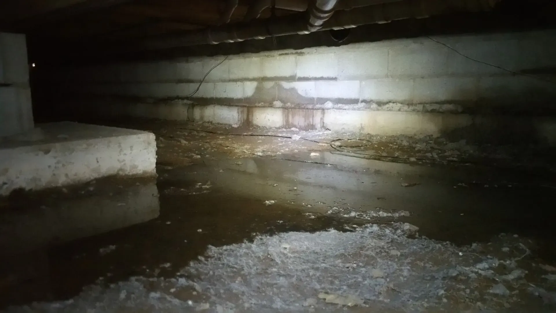 Dim flooded basement with dark water, concrete walls, and debris under a low ceiling.