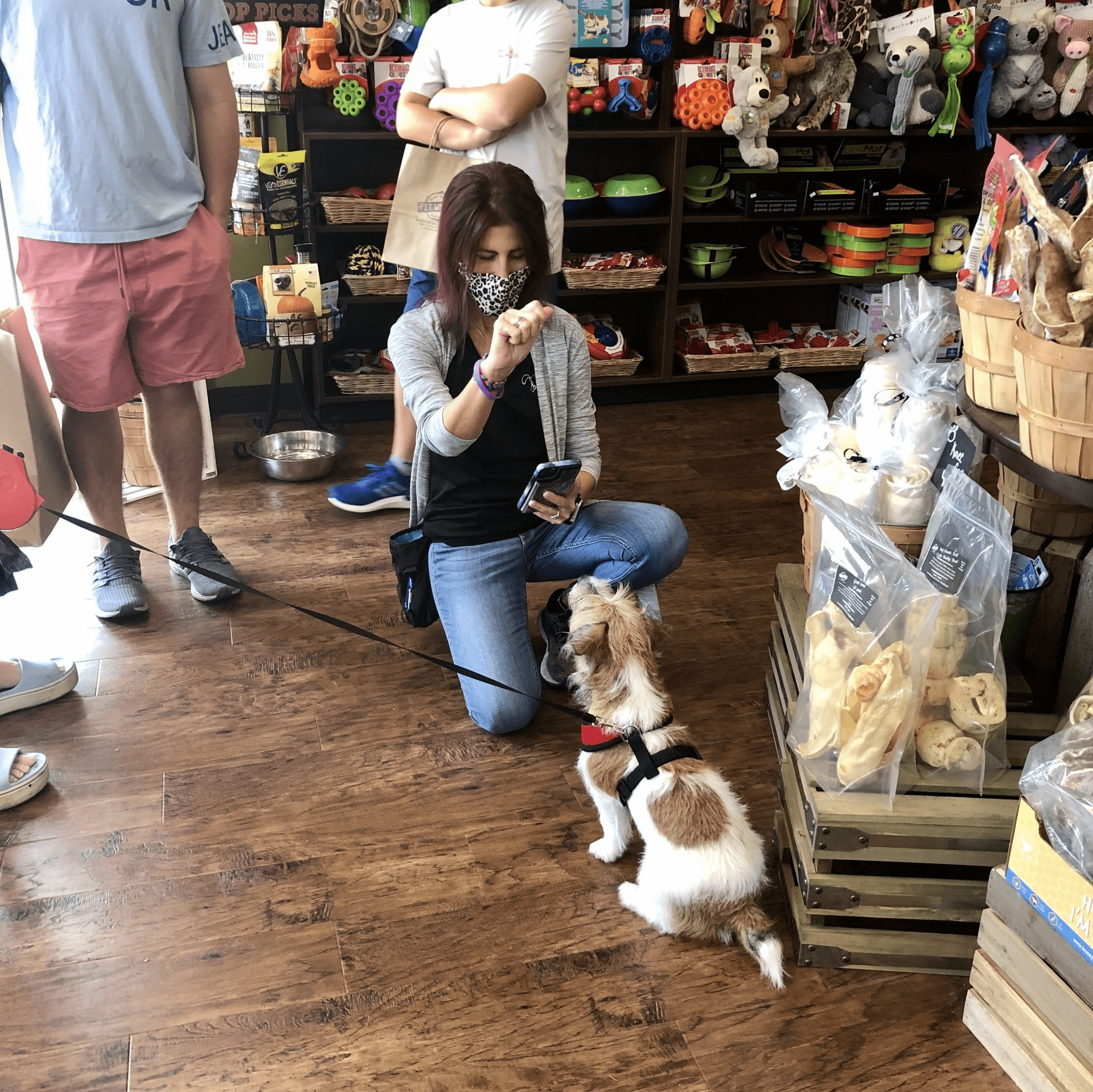 woman training a dog