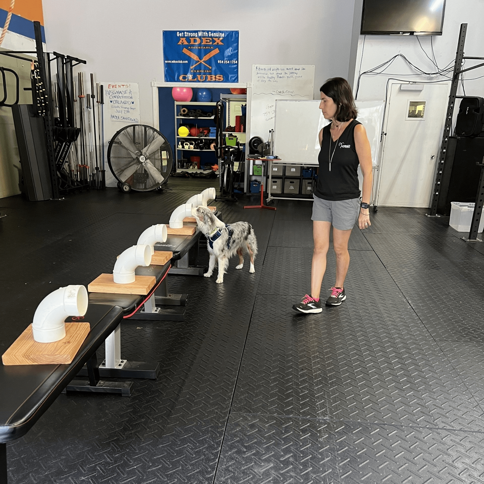 woman training a dog