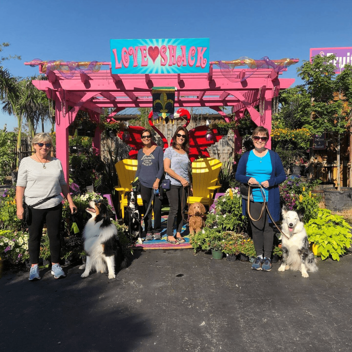 group of people outside with their dogs