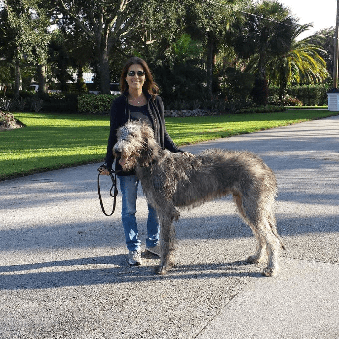 Marni with a large dog