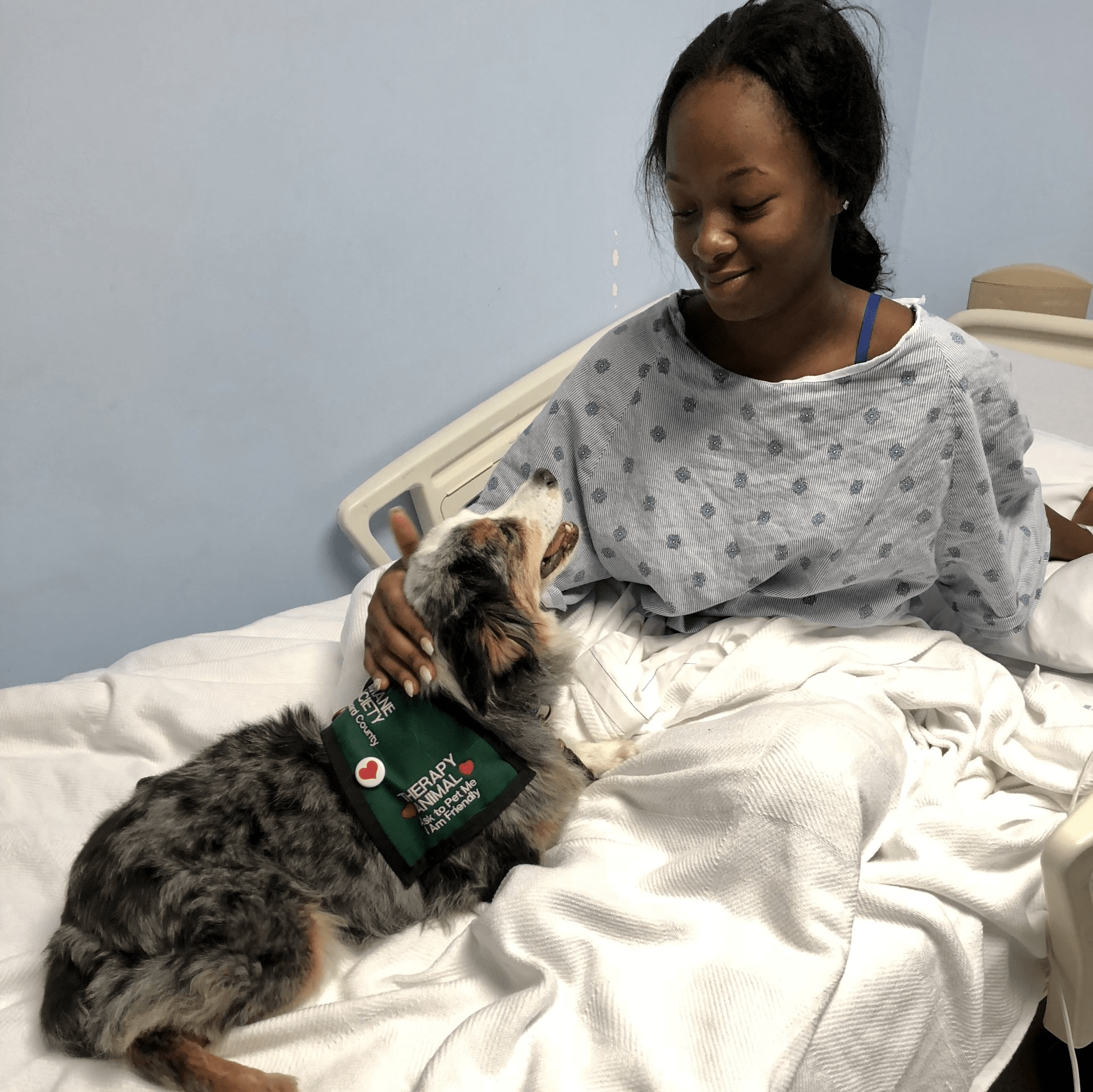 girl in a hospital bed with friendly dog