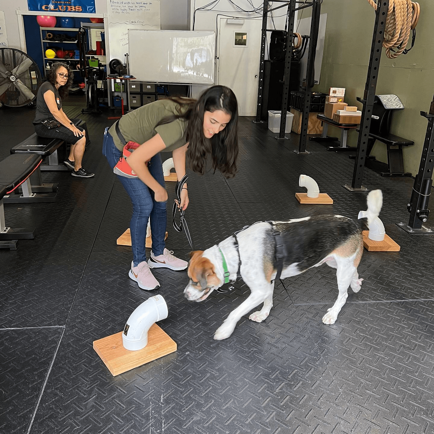 woman training a dog