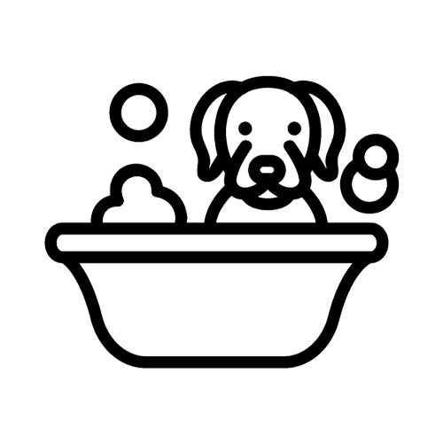 Icona – I nostri servizi