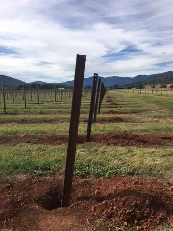 Vineyard Posts Australia Vineyard Trellising Denpaq Pty Ltd