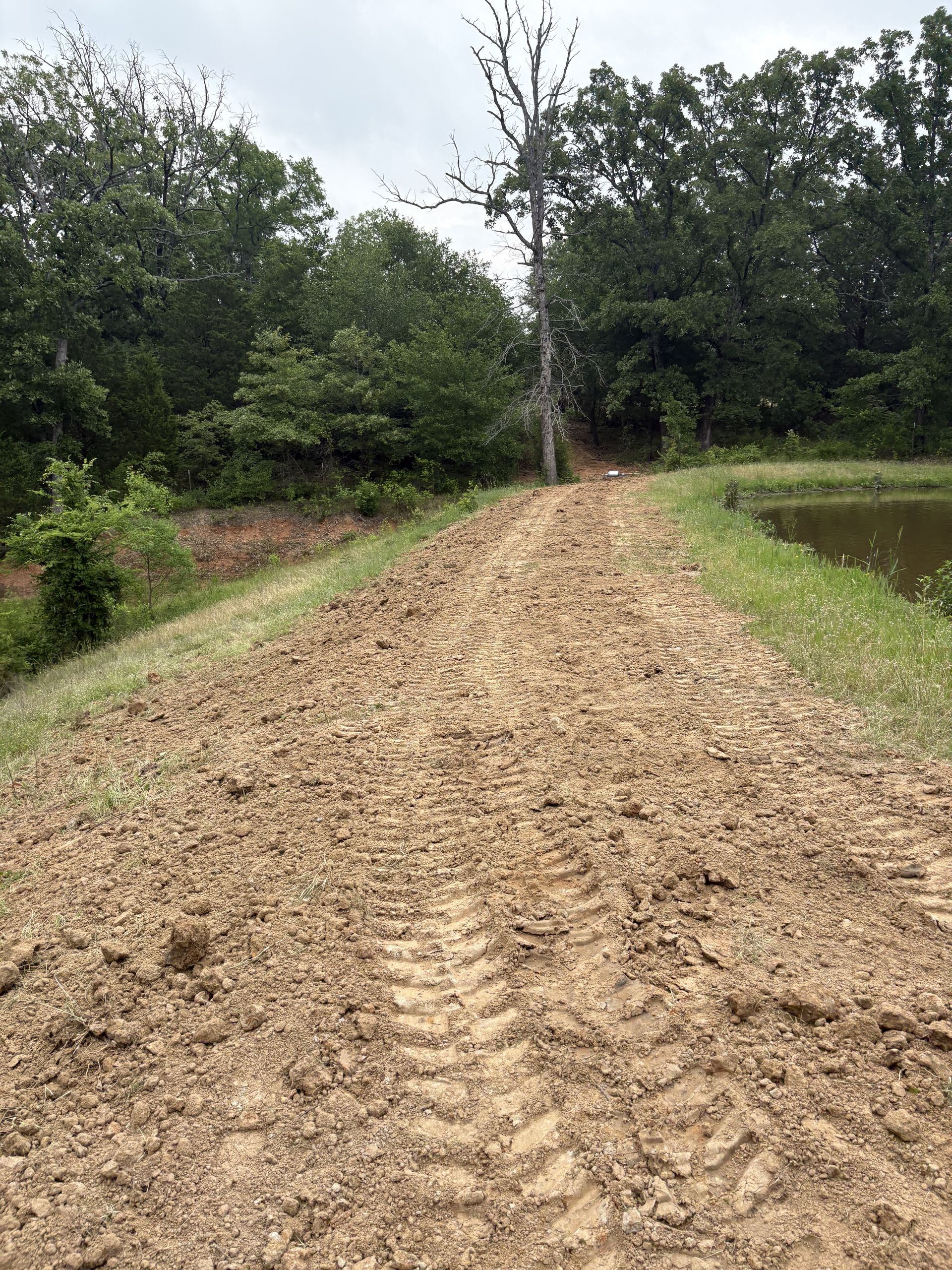 Muddy dirt path with tire tracks, leading toward trees, alongside a pond.
