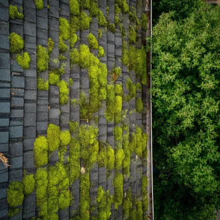 Leading Evanston IL roofers offering commercial-grade roofing maintenance contracts, leak prevention services, flat roof coatings, reflective granule membranes, and seamless aluminum gutters installed with precision and warranty guarantees.