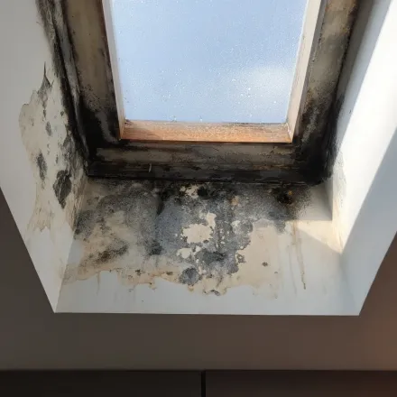 Evanston IL roofers with full-service roofing packages including custom flashing installs, high-performance ridge vents, low-slope roof protection membranes, annual leak inspections, and attic heat/moisture control systems.