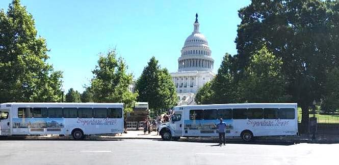 White tour bus with city skyline mural parked on street, trees in background.