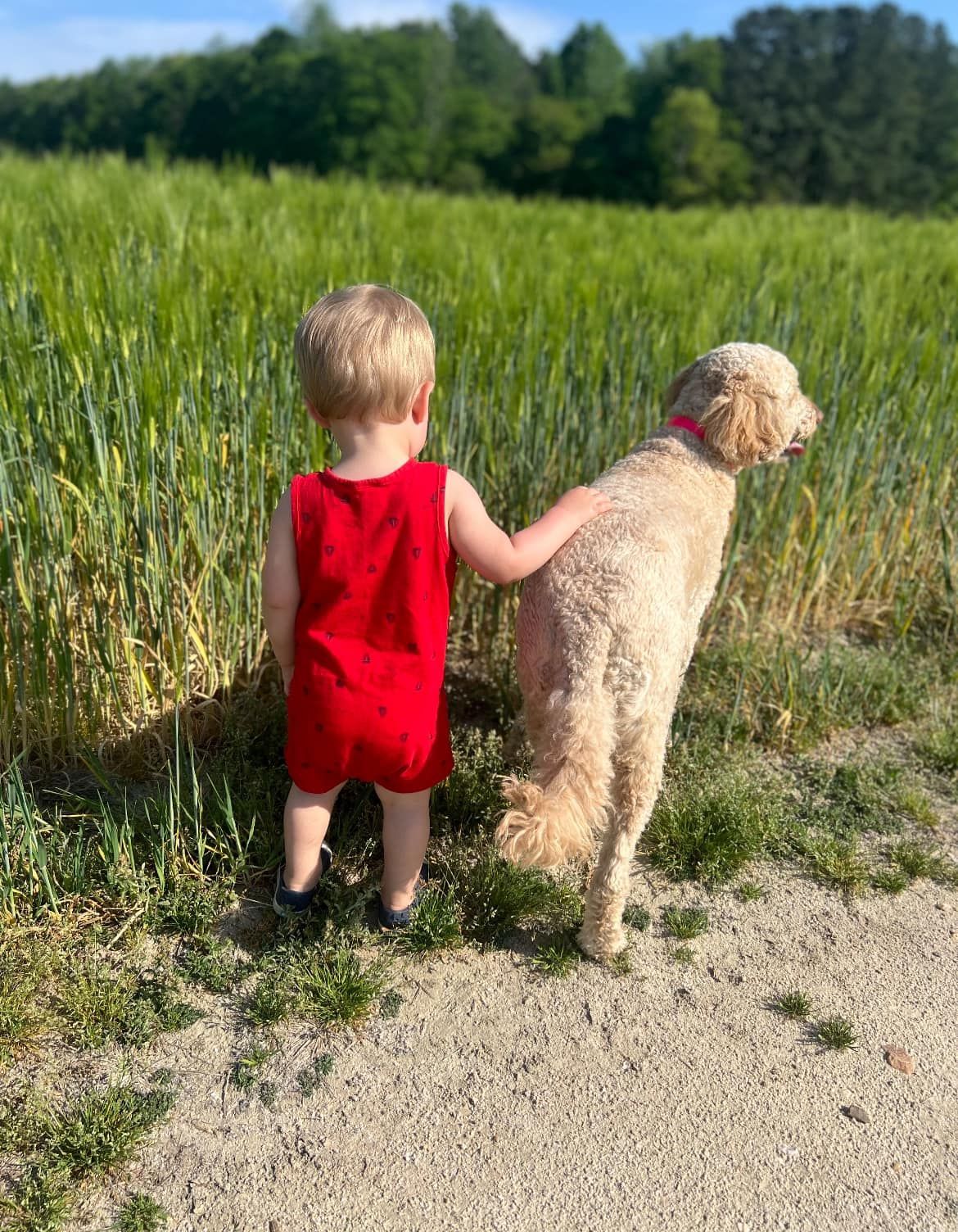 A little boy and a dog are standing next to each other in a field.