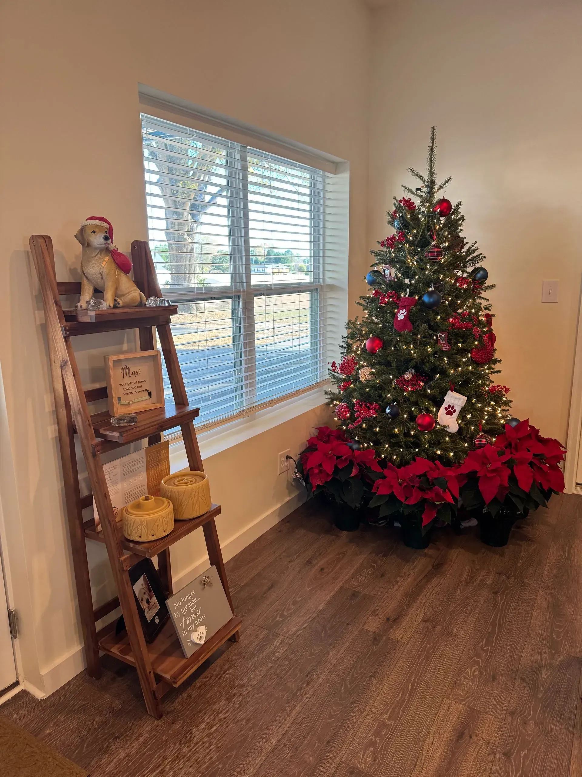 A christmas tree is sitting in front of a window next to a ladder.