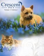 A dog and a cat are sitting in a field of flowers.