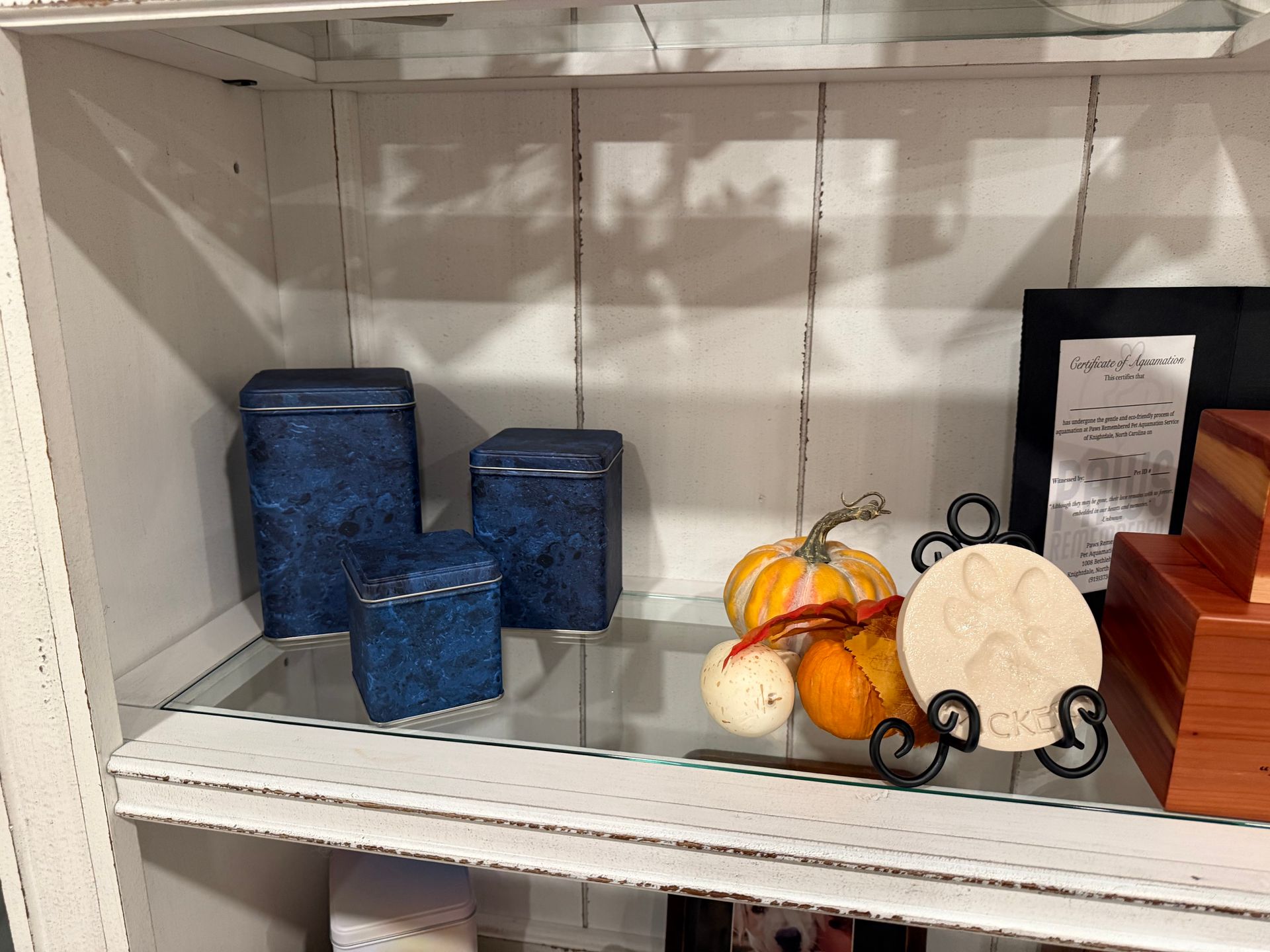 A shelf with blue boxes and pumpkins on it