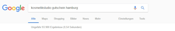 Google SEO Sucheingabe