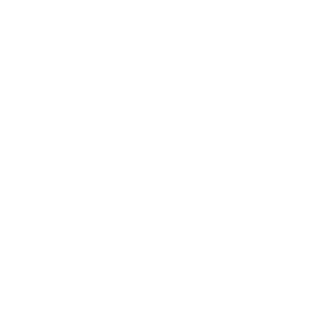 Montana Bride logo