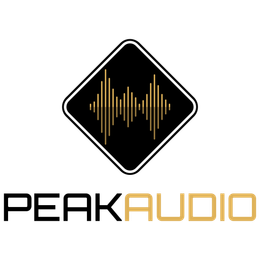 A black and white logo for peak audio with a sound wave.