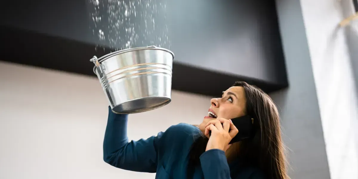 plumbing leak repair