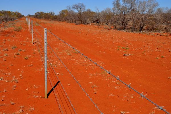 A barbed wire fence along a dirt road in the desert.