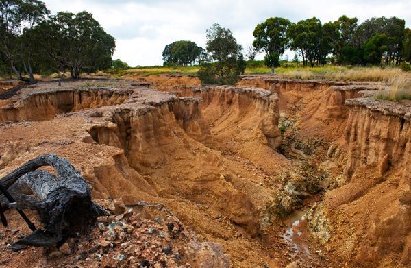 A large hole in the ground with trees in the background.