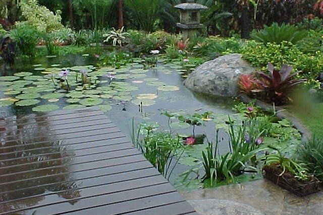 Pond at a residential property - Oahu HI - Pacific AquaScapes