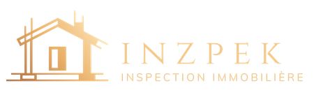 LOGO Inzpek