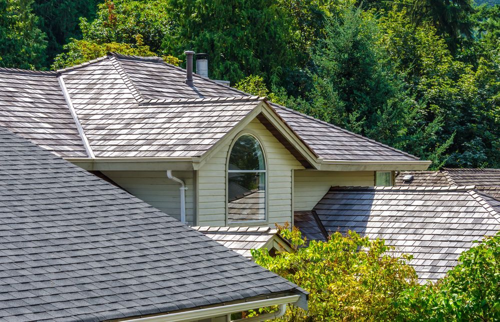 Toits de maisons en bardeaux de bois, sur fond d'arbres verts luxuriants.