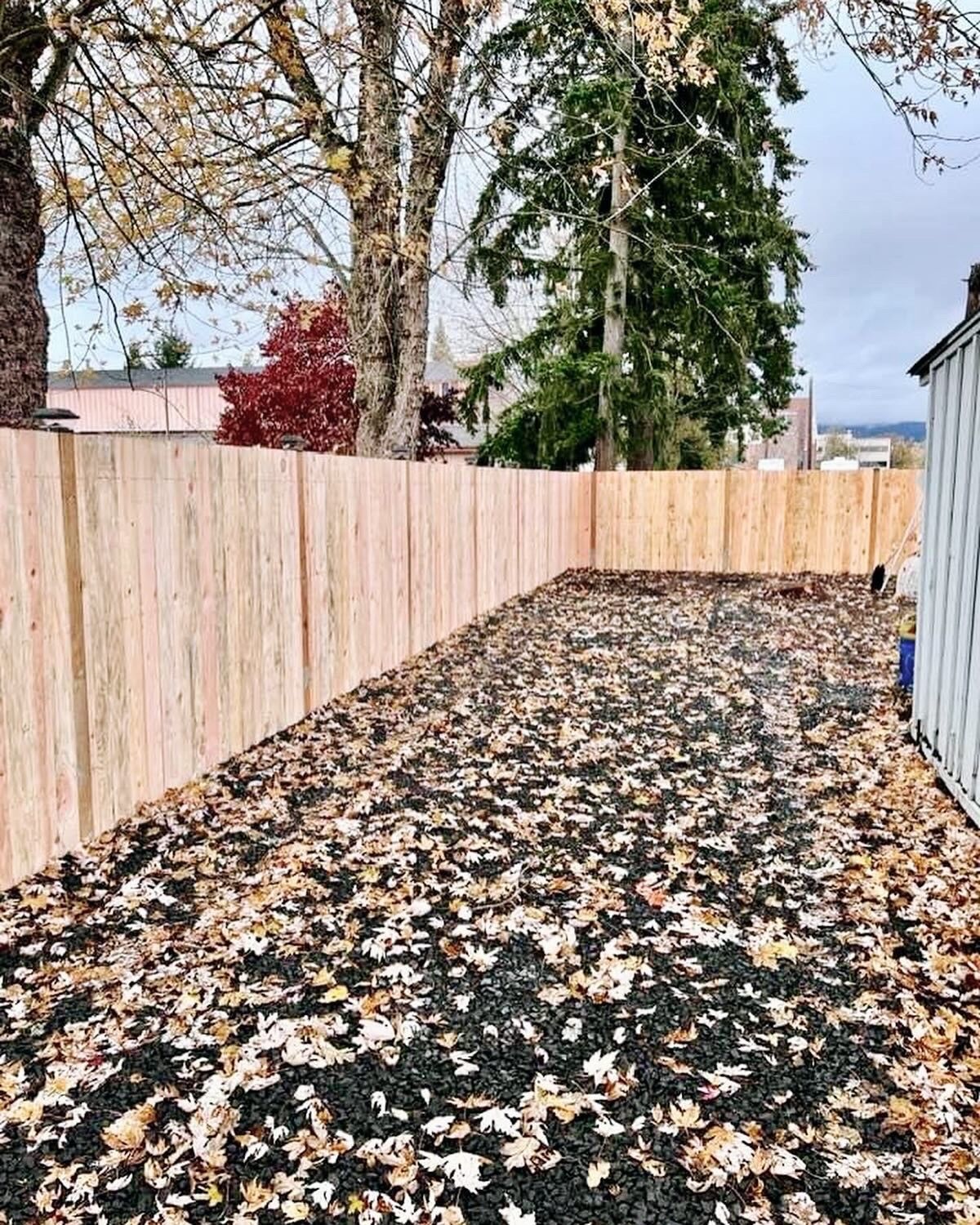 A wooden fence surrounds a yard filled with leaves.