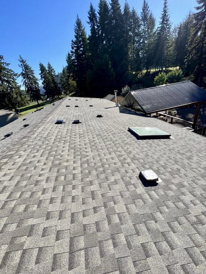 A roof with a skylight on it and trees in the background.