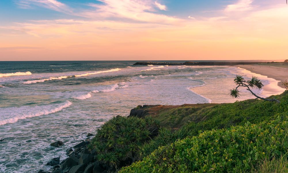 A View Of A Beach At Sunset With A Palm Tree In The Foreground — Datco Aluminium Pty Ltd In Ballina, City