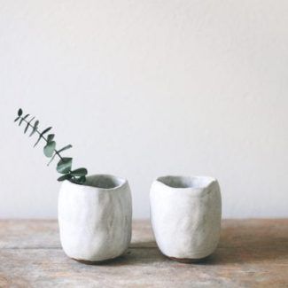 Two White Vases With a Plant in Them — Groveland, FL — Never Look Back Project