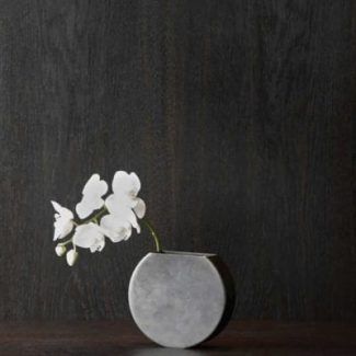 A Vase With a White Flower — Groveland, FL — Never Look Back Project