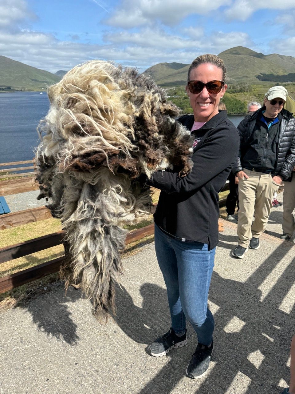Irish Sheep Shearing