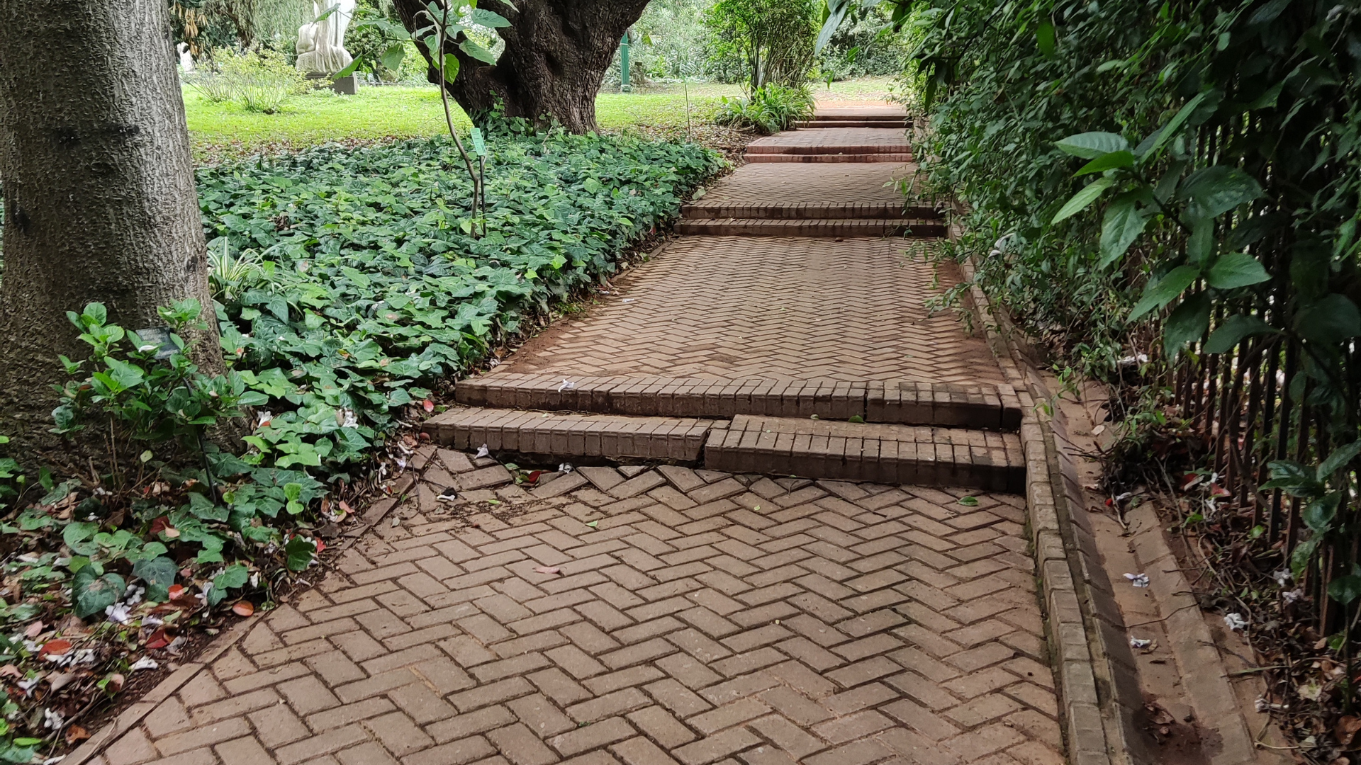 Brick pathway with steps, lined by ivy and green bushes, ascending through a garden.