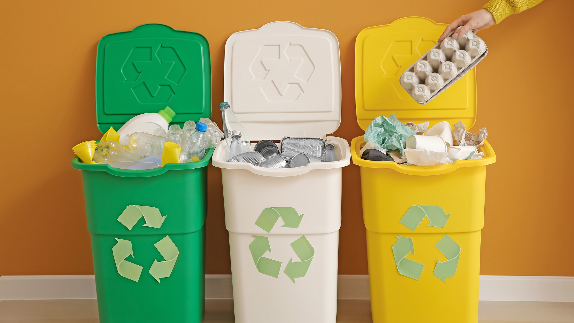 A person is putting an egg carton into a recycling bin.