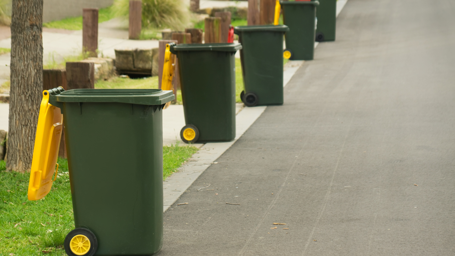 A row of garbage cans are lined up on the side of the road.