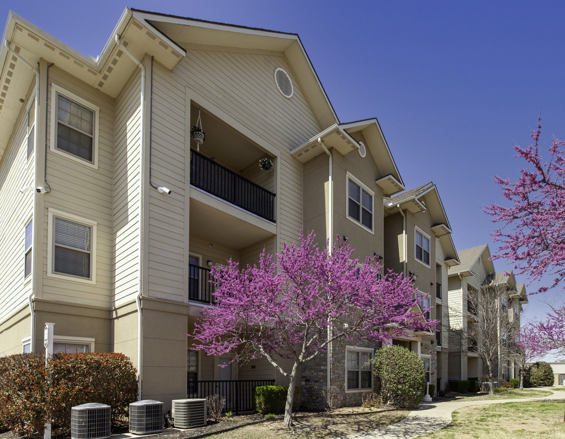 interior shot of clubhouse