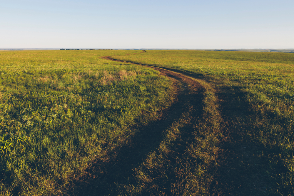Dirt path through a green field under a clear blue sky.