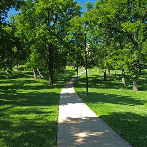 A path in a park surrounded by trees and grass. A path in a park surrounded by trees and grass.
