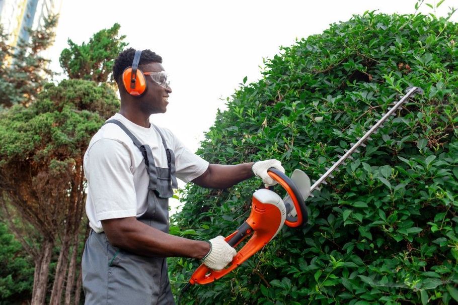 Person using an orange hedge trimmer to cut a green bush outdoors