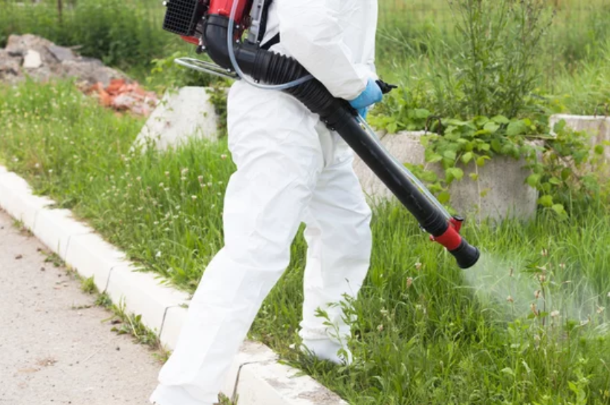 Pest control worker in protective gear spraying insecticide to eliminate pests and ensure a pest-free environment.