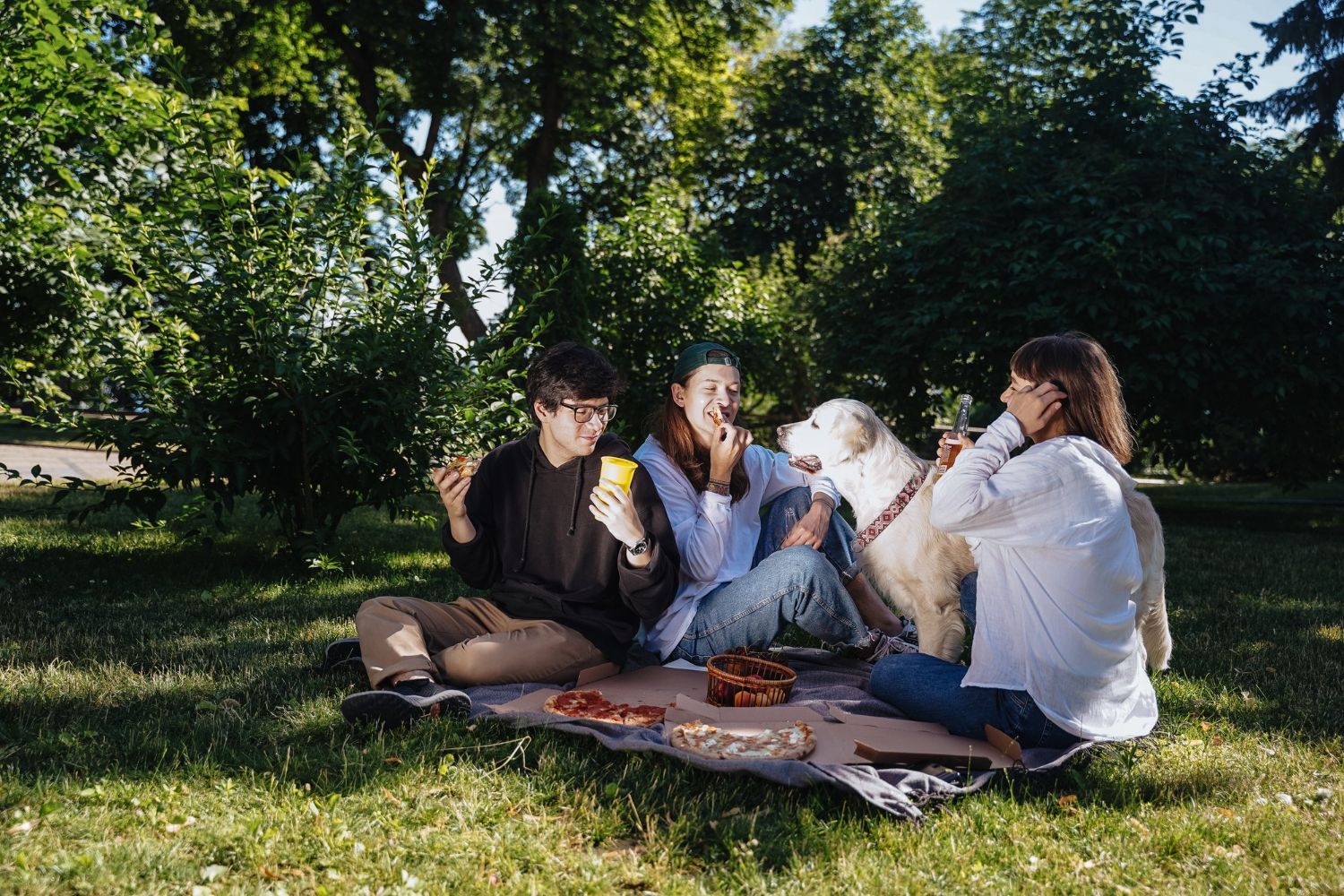 A group of people are having a picnic in the park with their dog. 